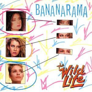 The Wild Life (Single)