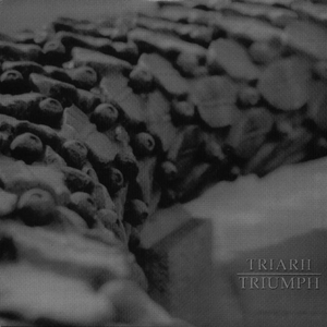 Triumph (Single)
