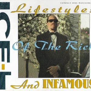 Lifestyles of the Rich and Infamous (radio edit)