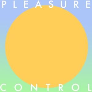 Pleasure Control (instrumental)