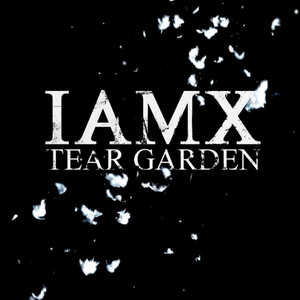 Tear Garden (instrumental)