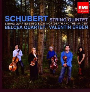 String Quintet in C, D. 956: I. Allegro ma non troppo