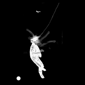 Speed + Sound (Endless)