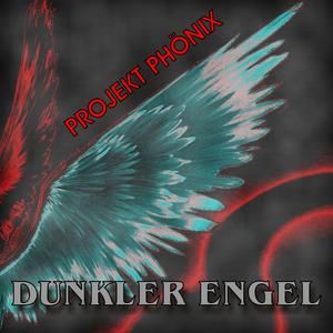 Dunkler Engel (Aro-Mix)