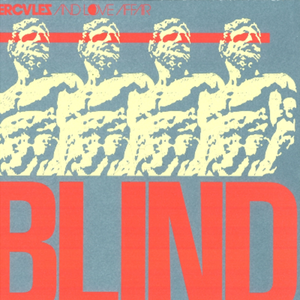 Blind