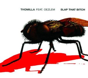 Slap That Bitch (Malente remix)