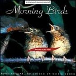 Dawn Chorus