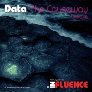 The Causeway / Delicate (Single)