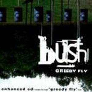 Greedy Fly (video mix)