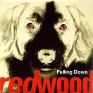 Falling Down (album version)