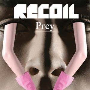 Prey (Reduction)