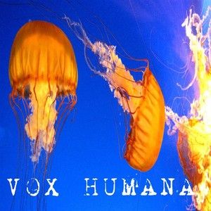 Vox Humana