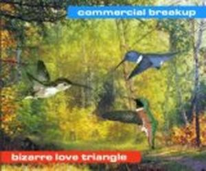 Bizarre Love Triangle (Johannes Heil remix)