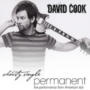 Permanent (American Idol Charity Song) (Single)