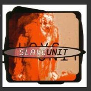 Slave Unit