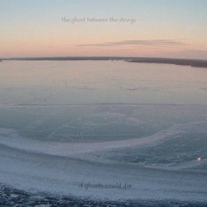 First Crackles in Last Year's Dirt