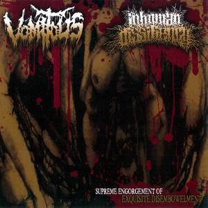 Dripping Vaginal Excrements