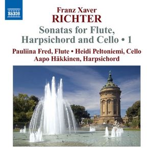 Sonata no. 1 in D major: II. Larghetto poco andante
