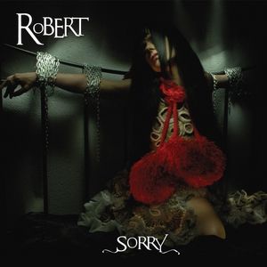 Sorry (version album)