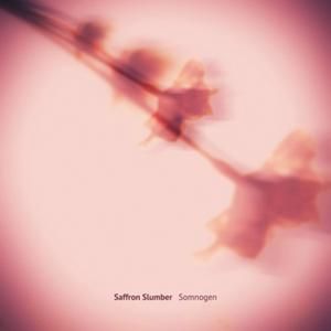 Somnogen (EP)