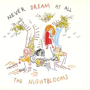 Never Dream At All (Single)