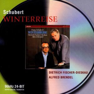 Winterreise, D. 911: 3. Gefrorne Tränen