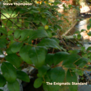 The Enigmatic Standard (EP) (EP)