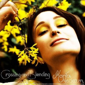 Lovesong (For the Crazy)