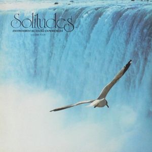 Solitudes, Volume 4: Niagara Falls, the Gorge and Glen