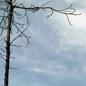 Know Certain Future, Part Two
