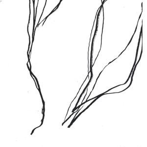 [untitled]