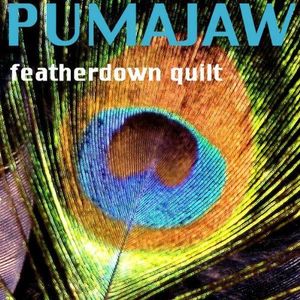 Featherdown Quilt (Single)