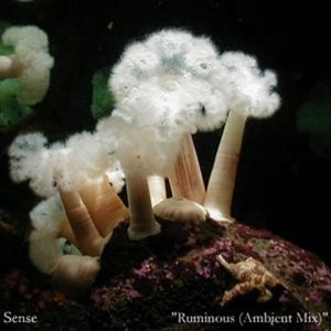 Ruminous (Ambient mix)