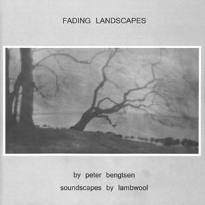 Fading Landscapes
