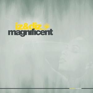 Magnificent (Justin Martin's No Heart and Soul mix)