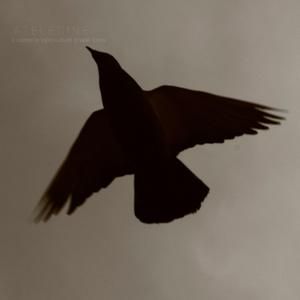 Ice Removal and Meditation