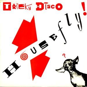 House Fly (Radical Rockers Remix)