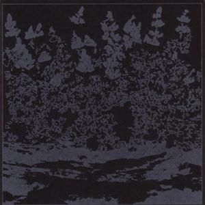 [untitled]