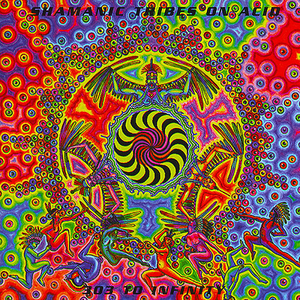 Elastic Psychedelic