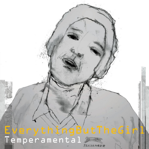 Temperamental (DJ Spen & Karizma remix)
