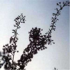 [untitled]
