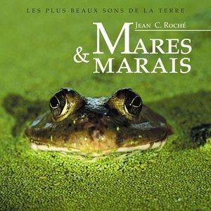 Mares & Marais