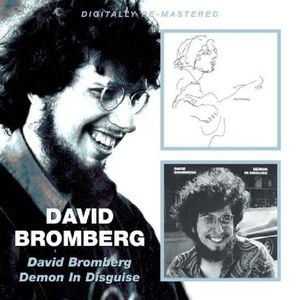 David Bromberg / Demon In Disguise