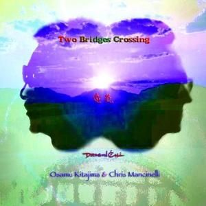 Shimmers In Moonlight