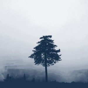 A Quiet Gloom