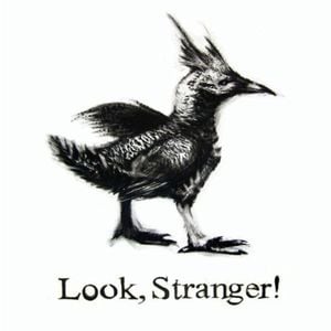 Look, Stranger! (EP)