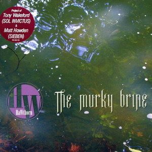 The Murky Brine