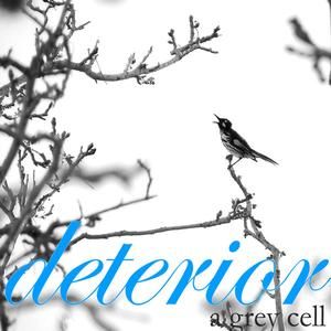 Tidal (Surfing into Battle Rubbmix)