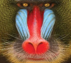 It Gets Your Body Movin'