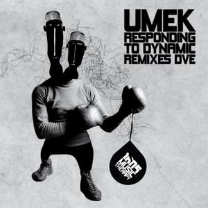 Responding to Dynamic (Remixes Dve) (EP)